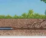 Trenchless Sewer Repair in Denver